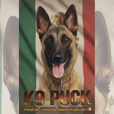 agente k9