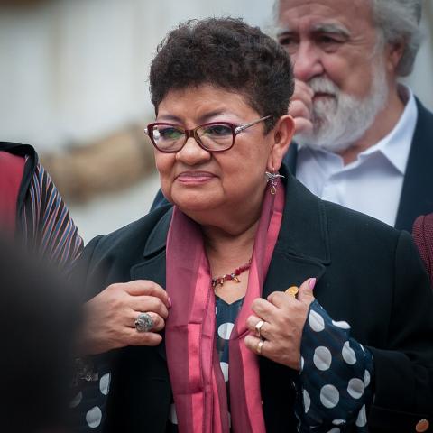 Ernestina Godoy 