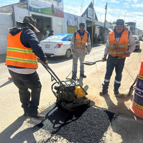 Bacheo