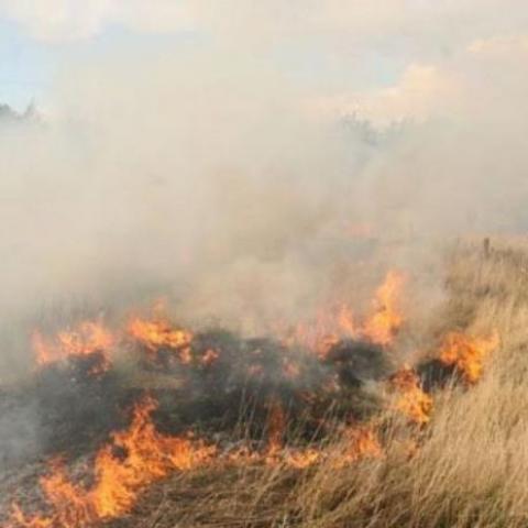 Incendio