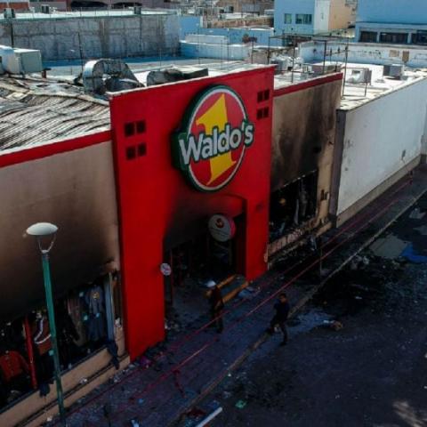 Waldos
