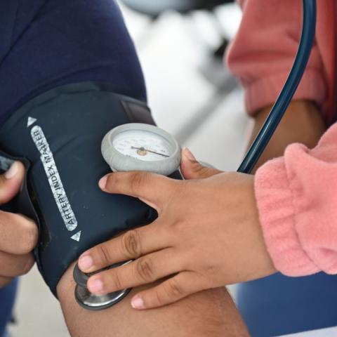 Brigadas Médicas de 2026