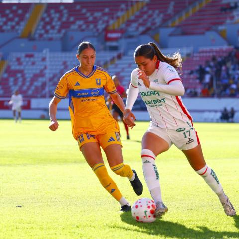 TIGRES VS CENTELLAS