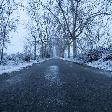 Nieve 