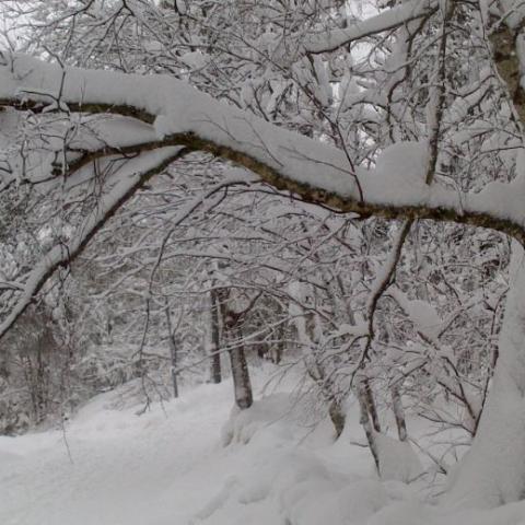 Tormenta invernal 