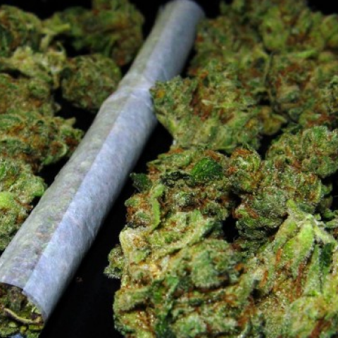 Marihuana 