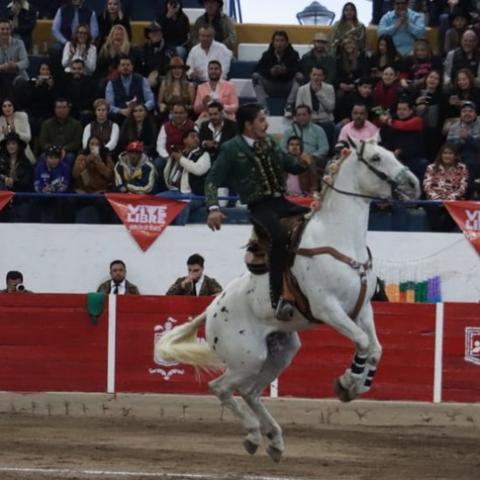Corridas de toros