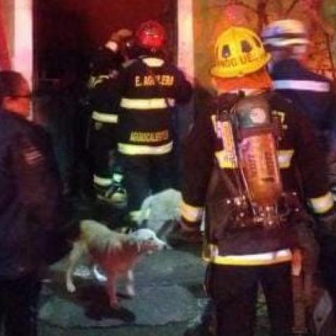 Incendio 