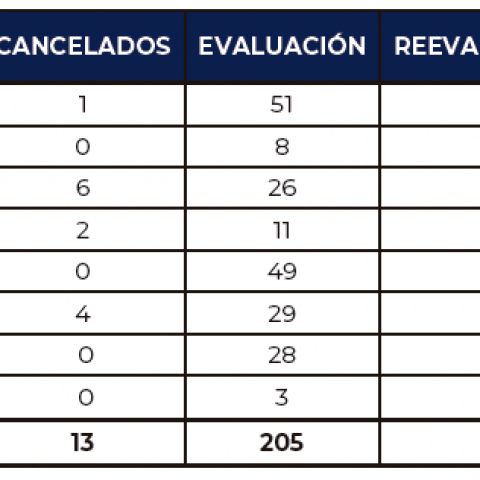 informe 