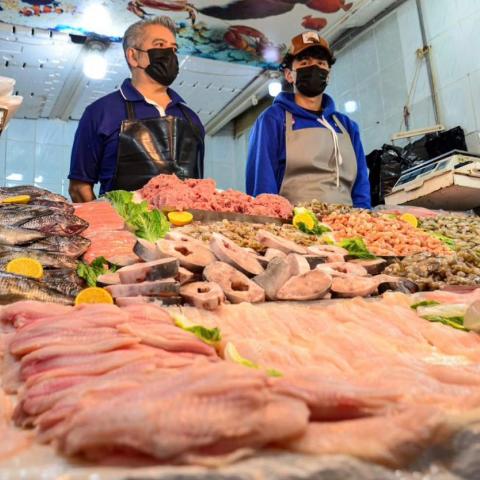 Pescados y mariscos 
