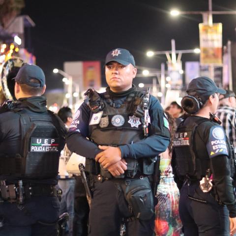 Seguridad en la FNSM