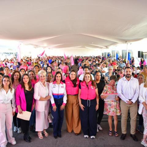 Tarjeta Rosa 