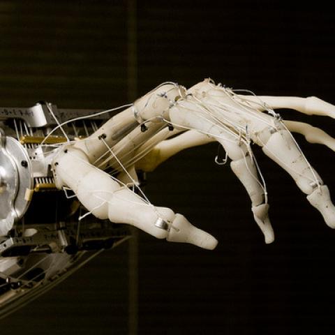 Robot