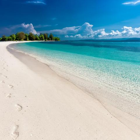Viajes a la playa 