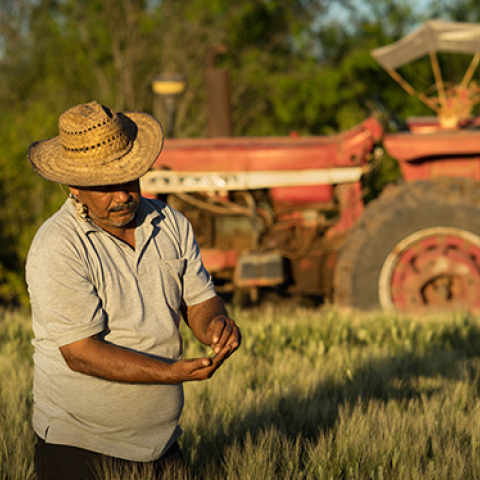 Financiera Rural