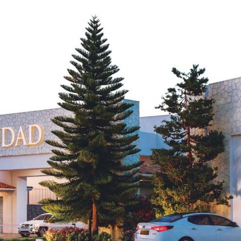 Ciudad Maderas