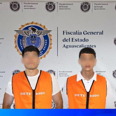 distribuidores