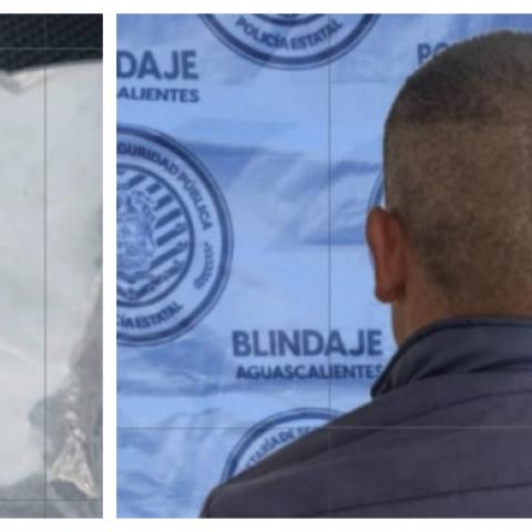 distribuidor 