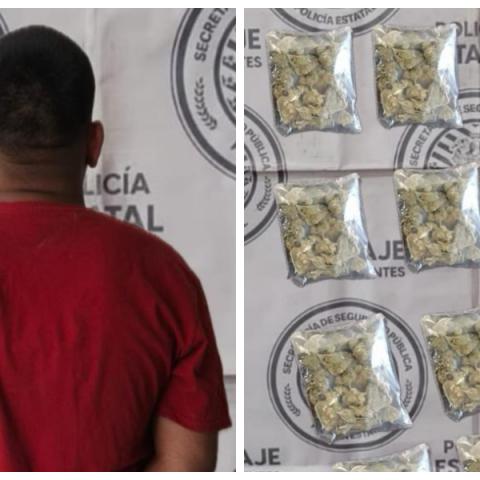 distribuidor 
