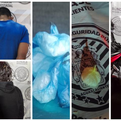 Distribuidores 