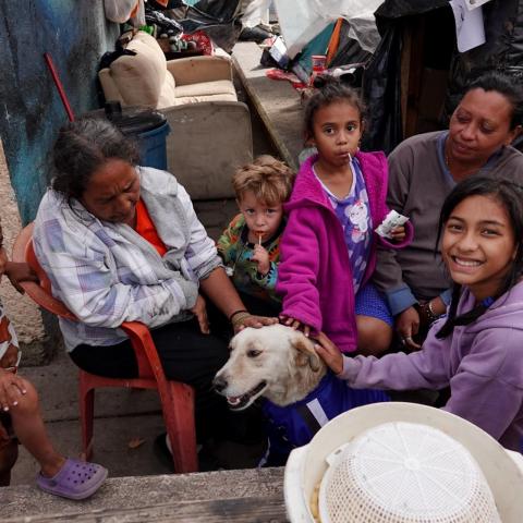 Familias refugiadas 
