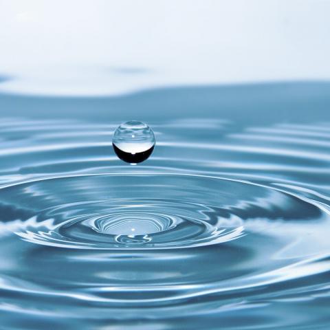 Agua 