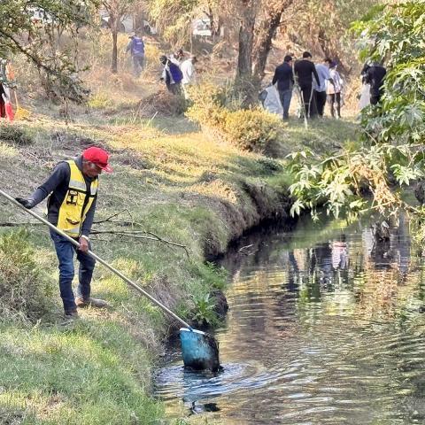 Limpieza del río San Pedro 