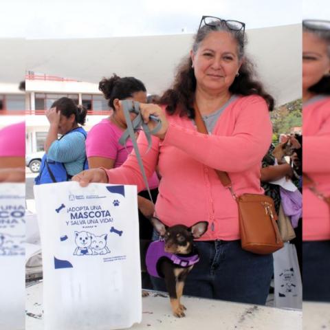 Perrito 