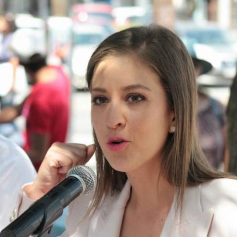 Reforma Electoral