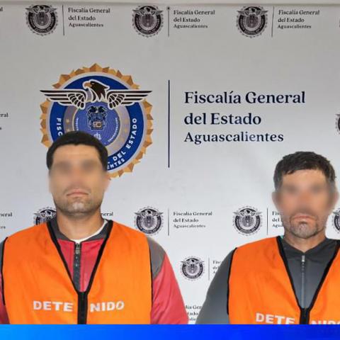 distribuidores