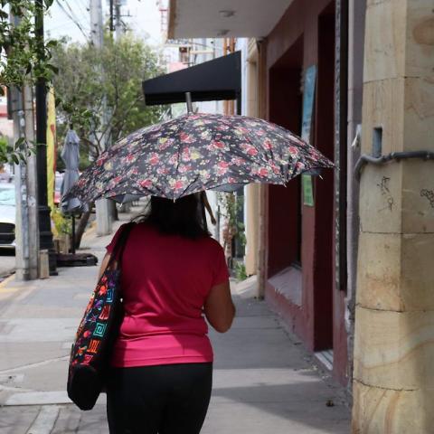 Altas temperaturas
