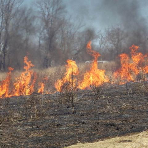 Asientos y Tepezalá continúan sin base ni camión de bomberos