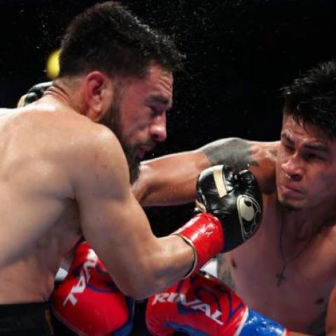 Boxeo
