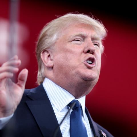 Donald Trump 