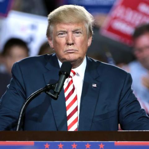 Donald Trump 