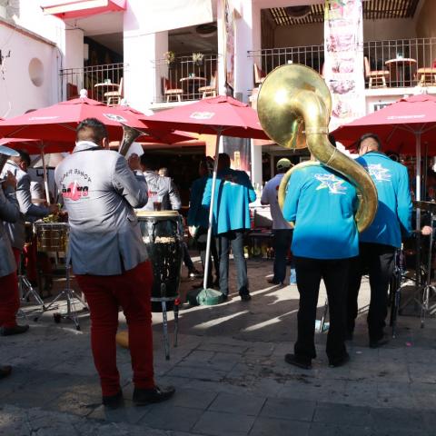 Tamboras de la FNSM 