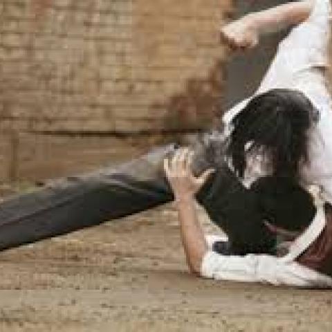 lesiones dolosas 