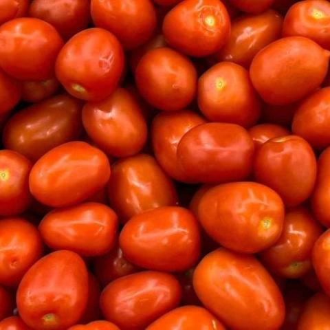 Tomate Saladette
