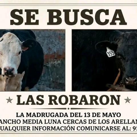 Violencia 