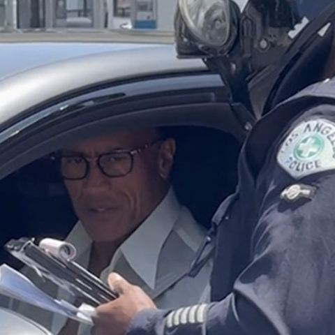 THE ROCK DETENIDO