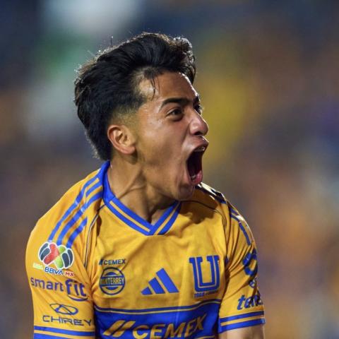 TIGRES VS CHIVAS 2026