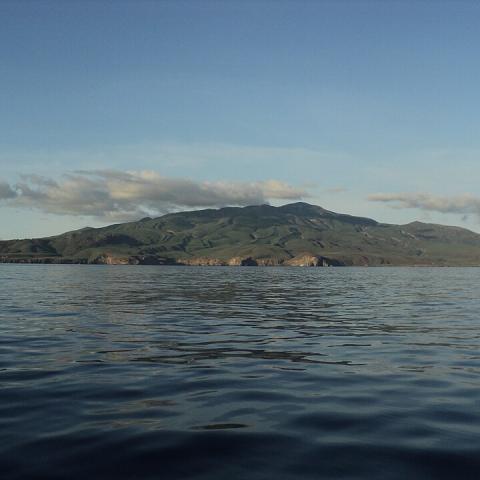 Isla Socorro 