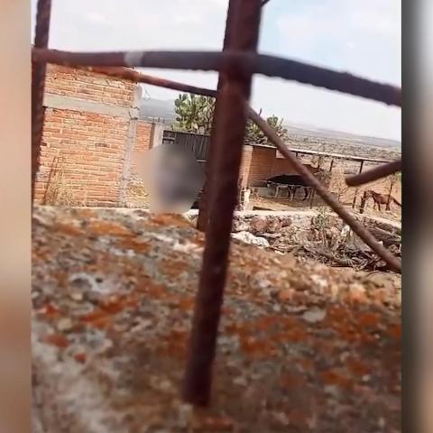 Caso de zoofilia en la comunidad Santa Elena de la Cruz