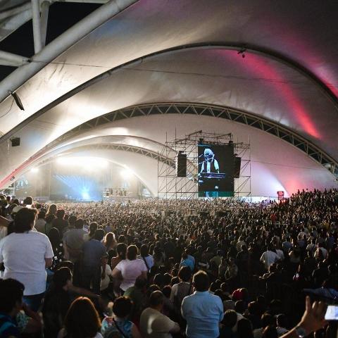 Hoteles reportaron ocupaciones de hasta el 100% en la FNSM 2026: Secretaría de Turismo