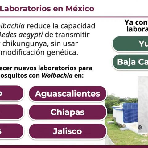 Federación establecerá laboratorio de mosquito estéril contra dengue en Aguascalientes 