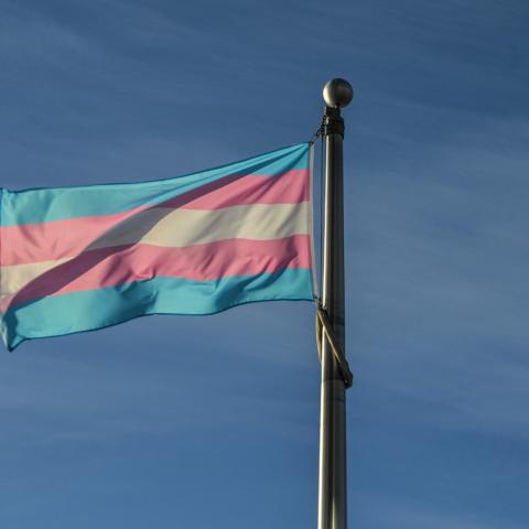 Esperanza de vida para personas trans en México es de 35 años; menos de la mitad que el promedio