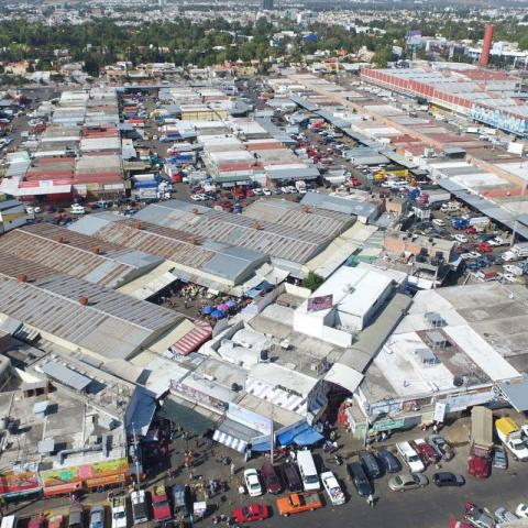 ORDENAN EL AGROPECUARIO