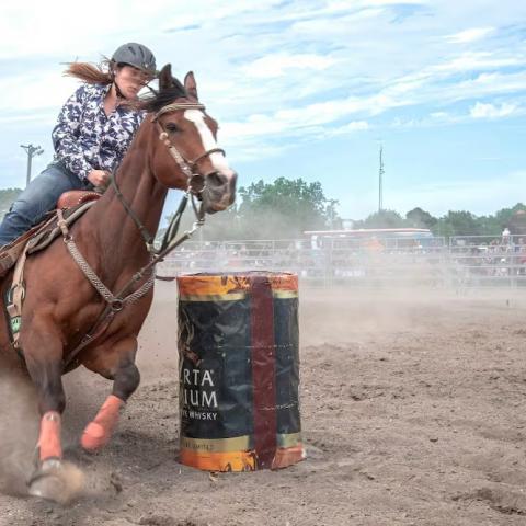 Feria del Caballo en Aguascalientes