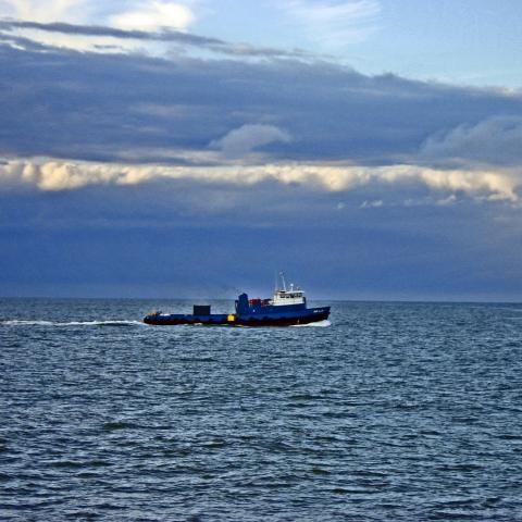 Barco 