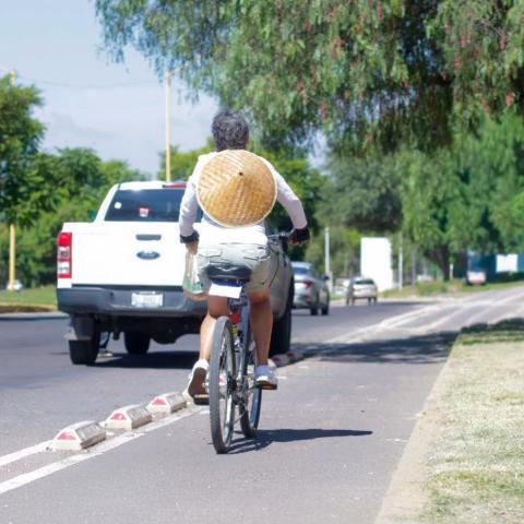 Ciclovías 